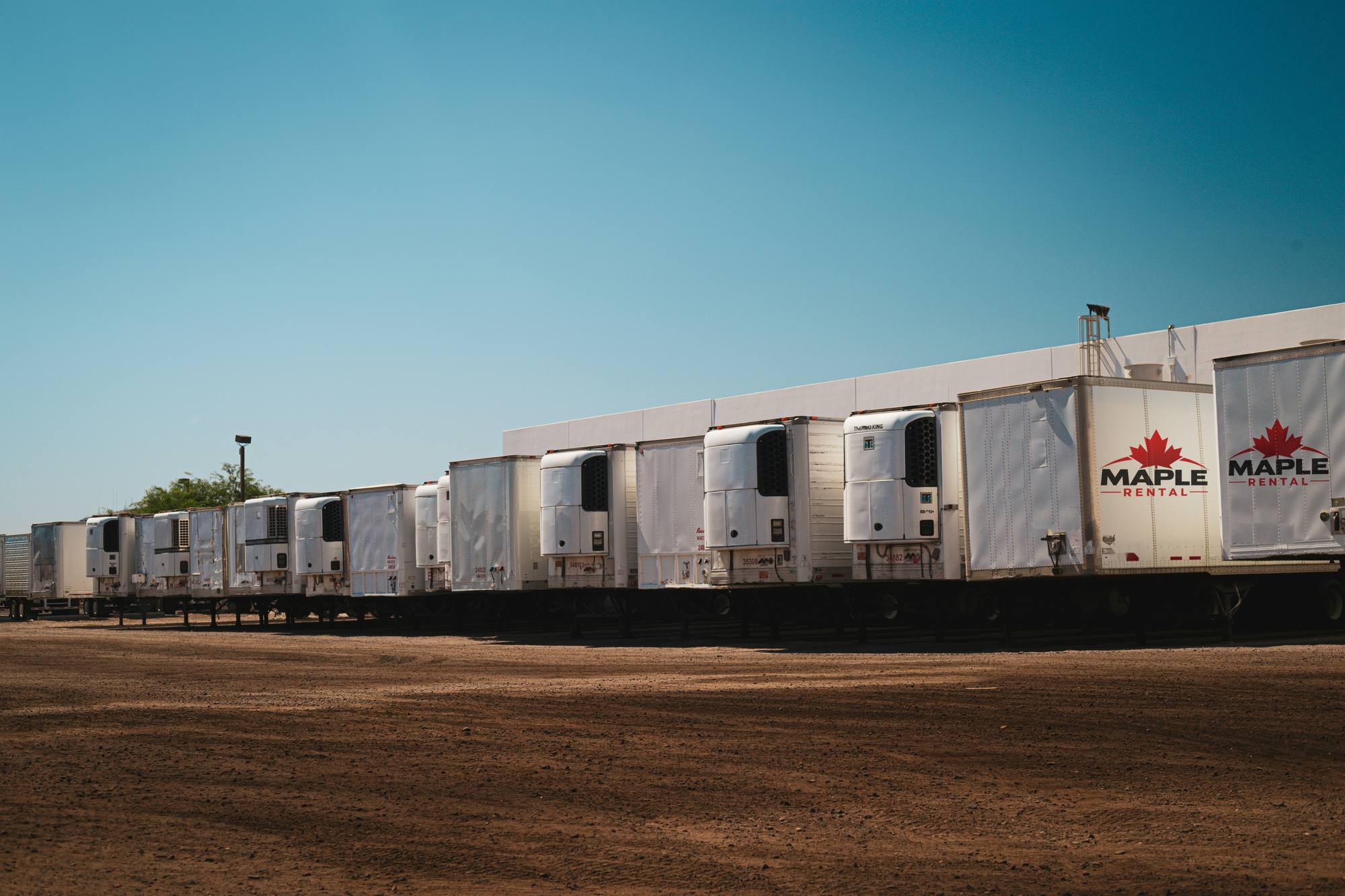 Row of Maple Rental trailers lined up in the yard